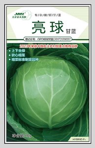 亮球